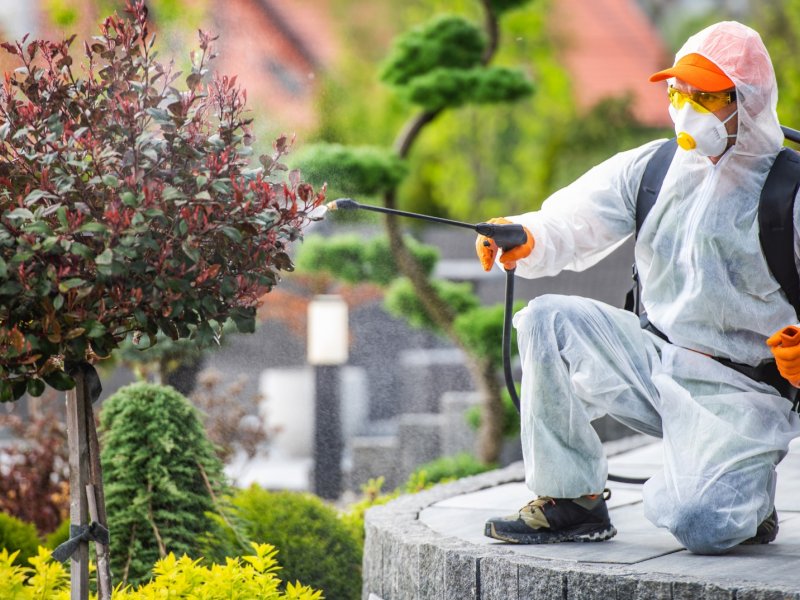 Gürgentepe Haşere İlaçlama